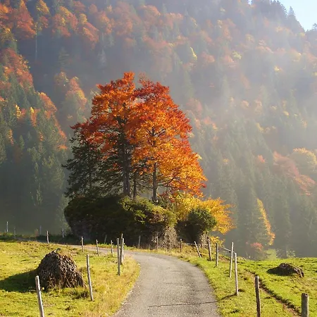 Allgaeutraum ! Dein Berg- Und Alpsee Urlaub In Lage - 70qm - 3 * Immenstadt im Allgäu