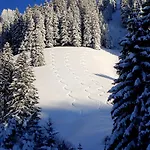 Apartamento Allgaeutraum ! Dein Berg- Und Alpsee Urlaub In Lage - 70qm - 3 Immenstadt im Allgäu