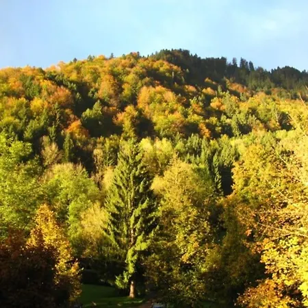 Allgaeutraum ! Dein Berg- Und Alpsee Urlaub In Lage - 70qm - 3 Apartamento