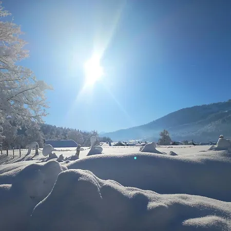Allgaeutraum ! Dein Berg- Und Alpsee Urlaub In Lage - 70qm - 3