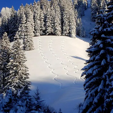 Apartamento Allgaeutraum ! Dein Berg- Und Alpsee Urlaub In Lage - 70qm - 3 Immenstadt im Allgäu